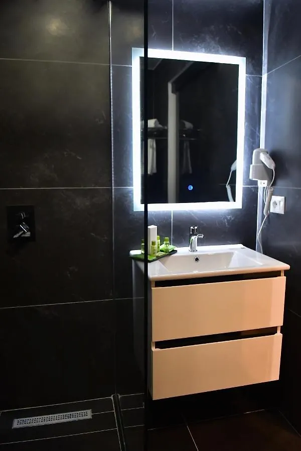 313 Villa City Center Tirana