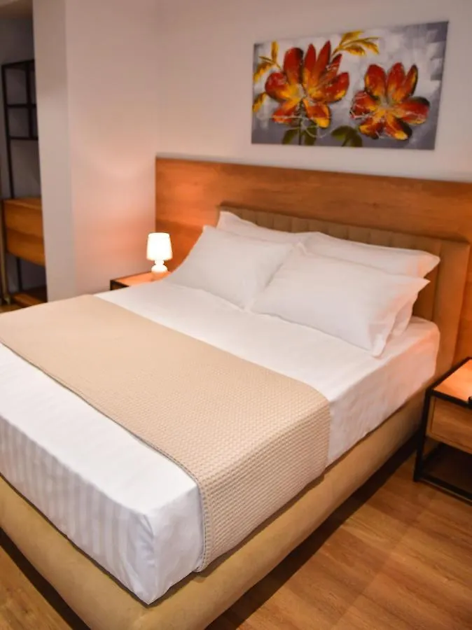 313 Villa City Center Tirana