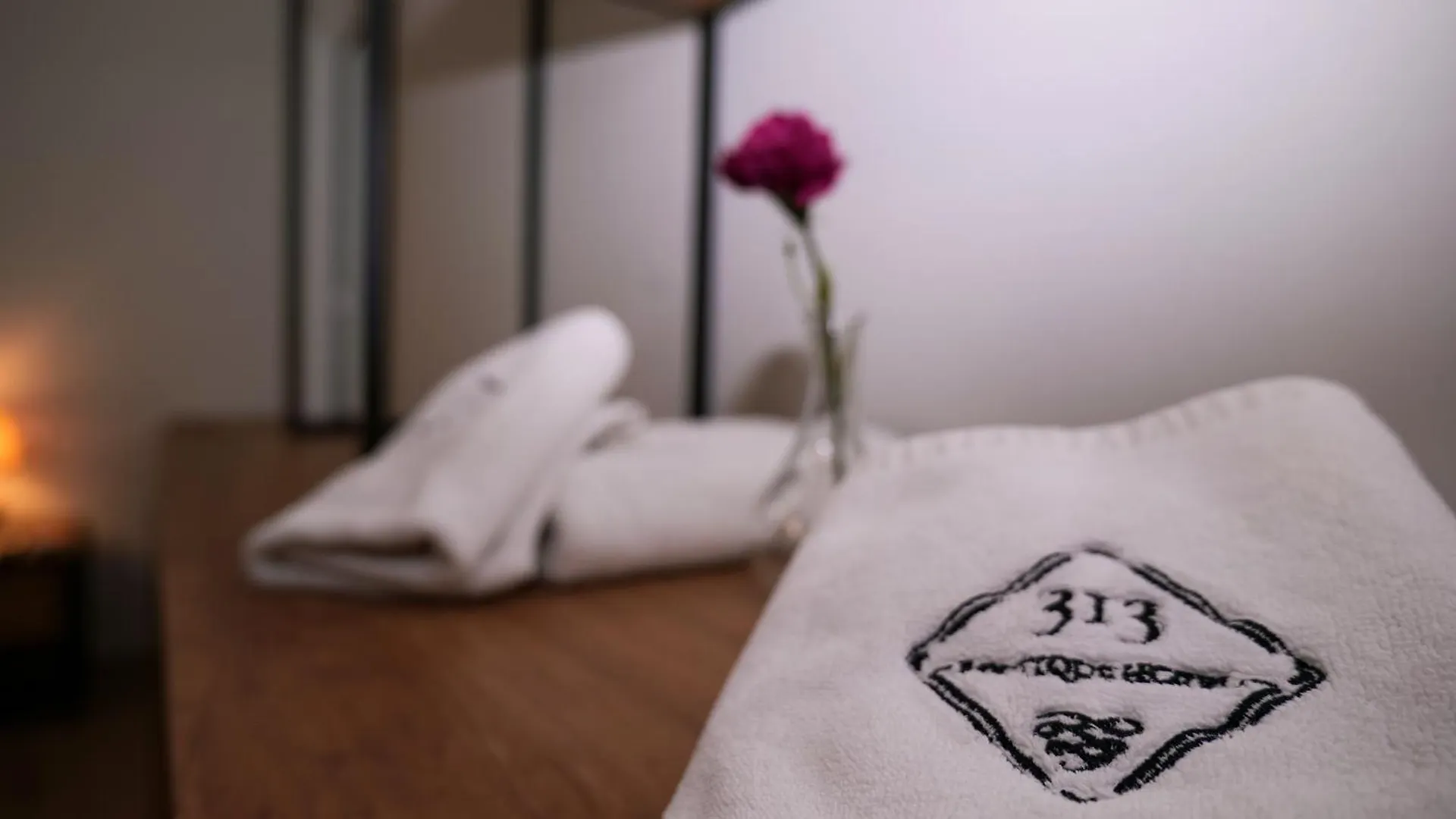 313 Villa City Center Tirana Hotel
