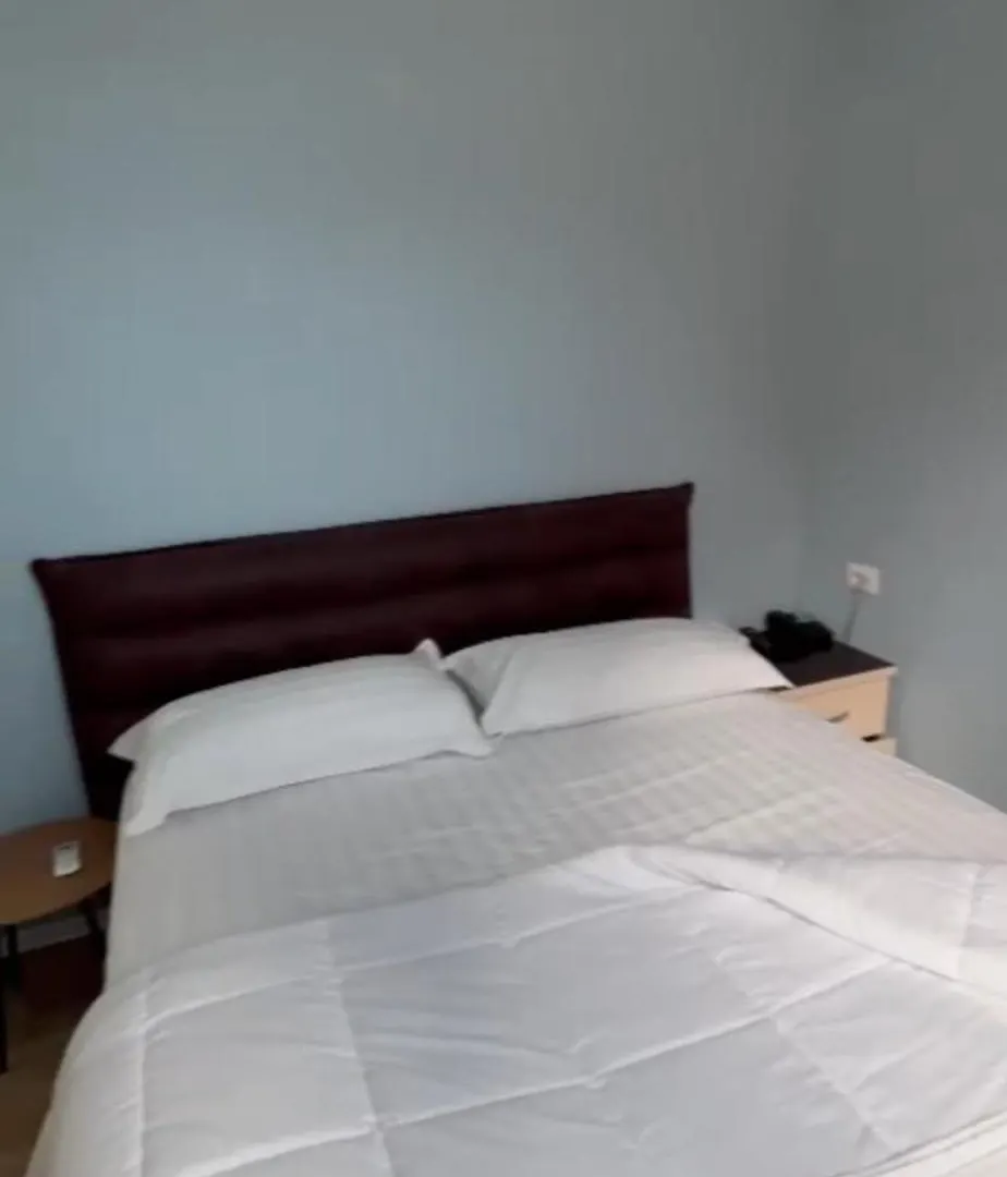 313 Villa City Center Tirana 4*,  Albania